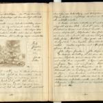Kriegstagebuch von Hans-Joachim Röhr aus Görlitz - Band 1, item 19