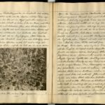 Kriegstagebuch von Hans-Joachim Röhr aus Görlitz - Band 1, item 72