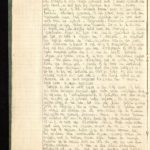 Velddagboek Paul Vandenbussche met o.a. gedroogde klaproos, item 8