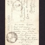 Velddagboek Paul Vandenbussche met o.a. gedroogde klaproos, item 96