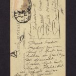 Velddagboek Paul Vandenbussche met o.a. gedroogde klaproos, item 118