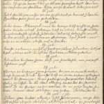 Diary of Ansis Stradnieks about his life in German occupied Kurzeme, page 165
