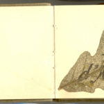 Carnet de croquis, oeuvre de Charles Grauss, item 3