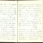 Tagebuch Reinhold Sieglerschmidt (2), item 83