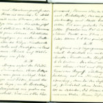 Tagebuchaufzeichnungen Reinhold Sieglerschmidt (3), item 36