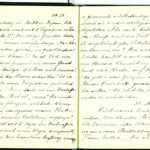 Tagebuchaufzeichnungen Reinhold Sieglerschmidt (3), item 47