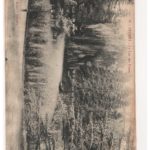 Carte postale à Marthe Grimal (Pagès) 13 août 1914 